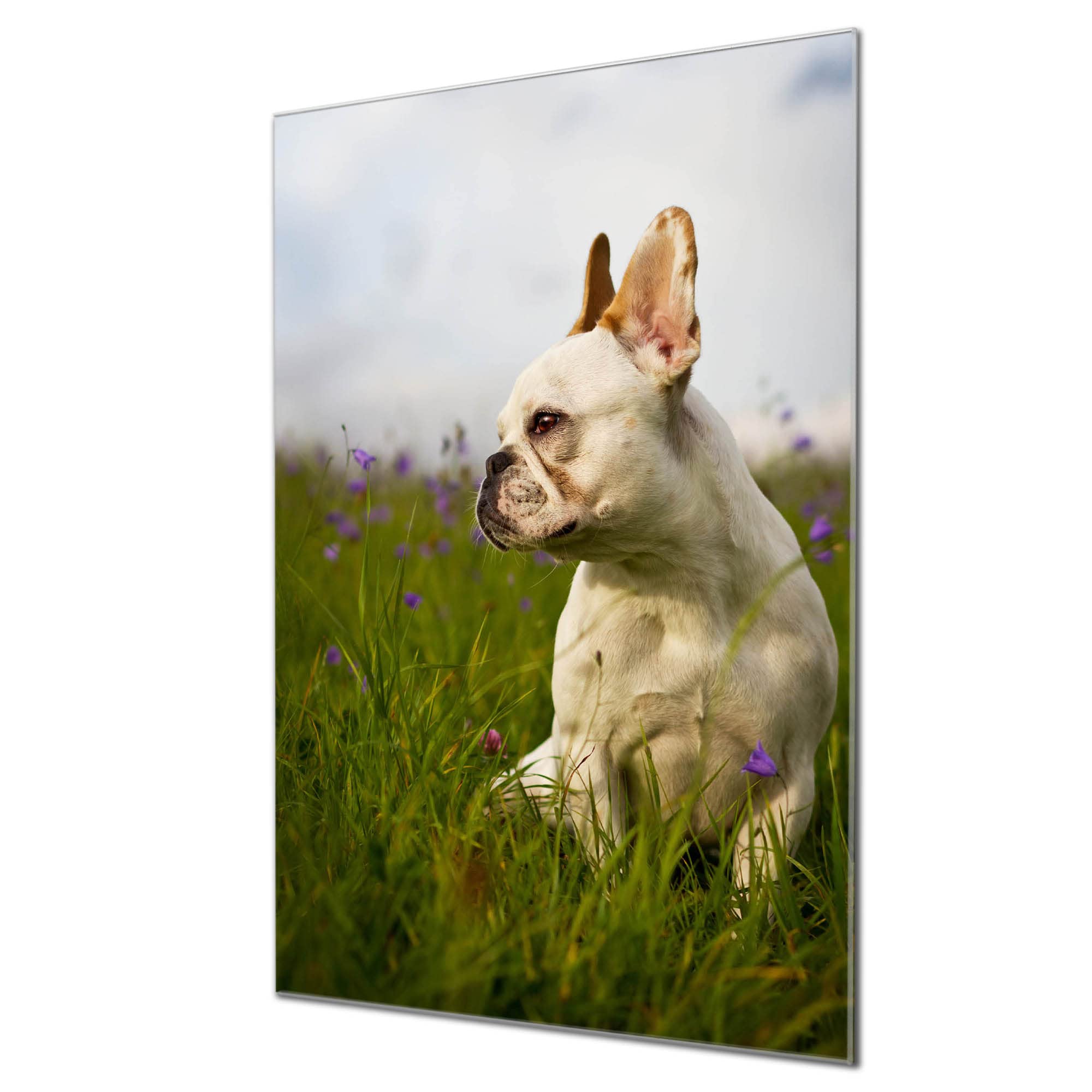 Banjado Magnettafel Mops im Koffer Magnetboard 60x40 Hund