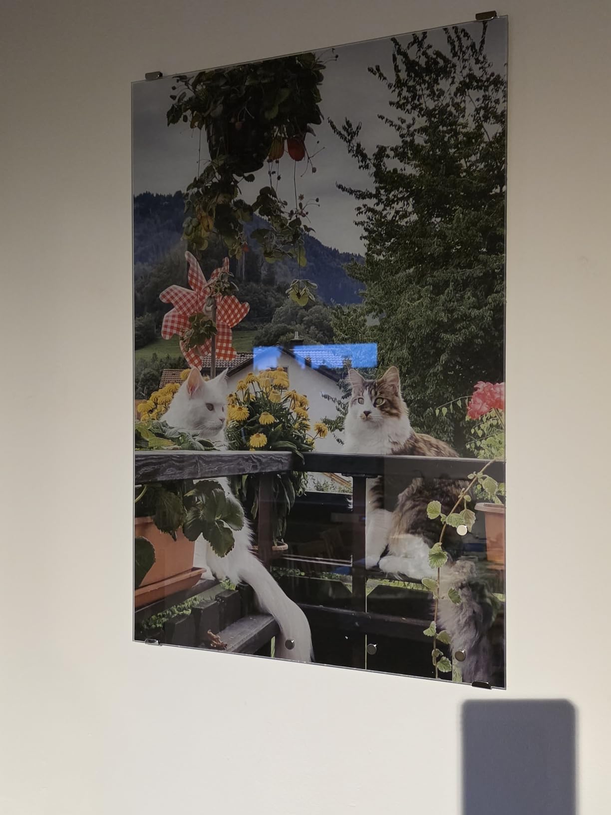 Banjado Magnettafel Glas-Memoboard 75x50 cm Wunschmotiv beschreibbar