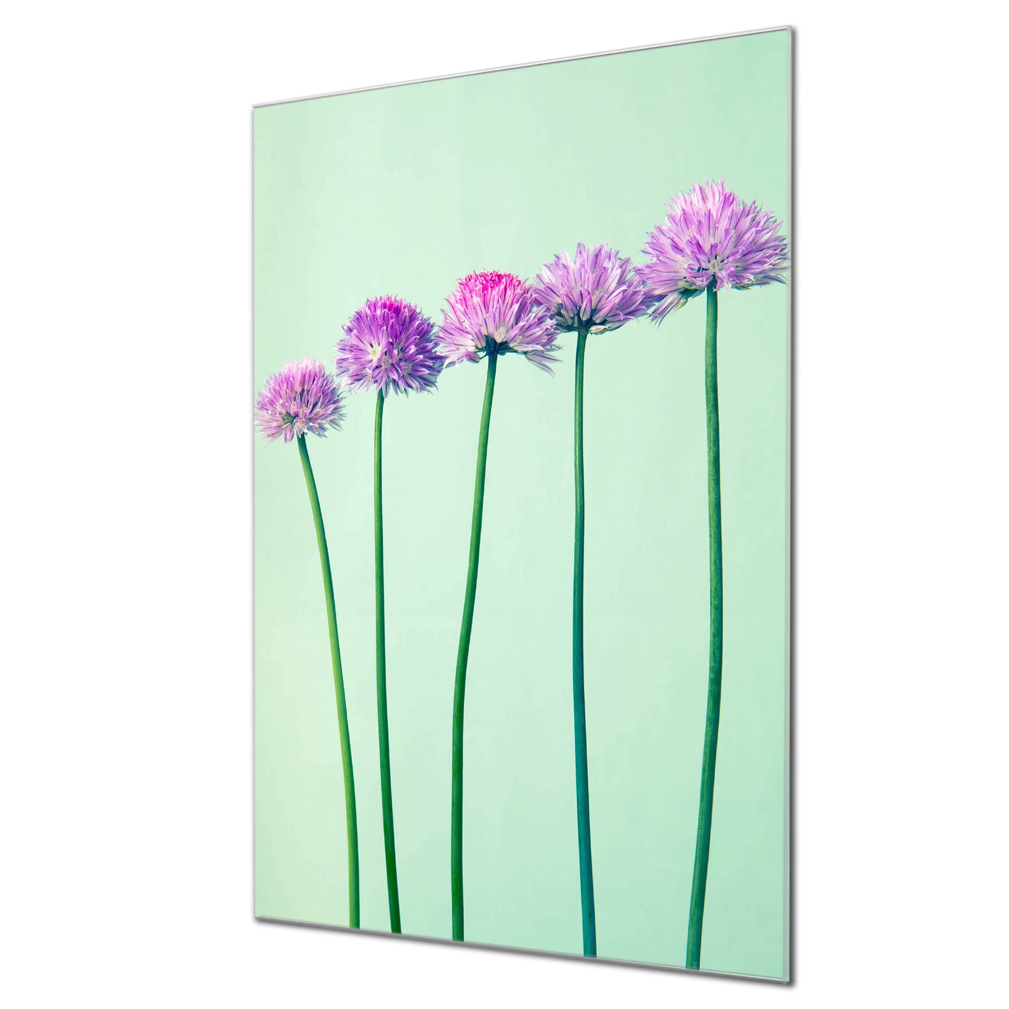 Banjado Magnettafel Klee in Reihe Glasboard 60x40cm Blumen