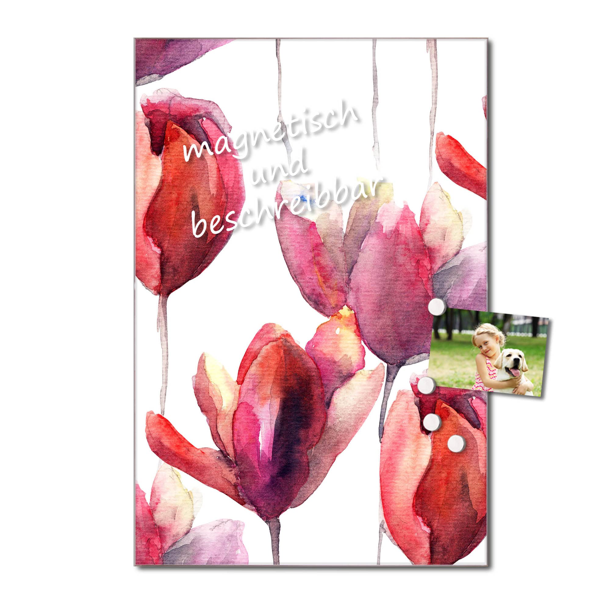 Banjado Magnettafel Aquarell Tulpen Magnettafel 40x60 floral