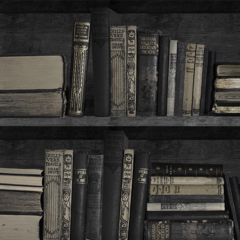 Mineheart Dark Bookshelf Tapete Bücherregal Dunkel