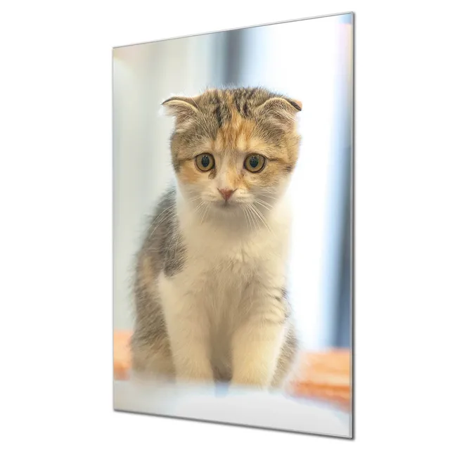 Banjado Magnettafel Kleine Katze Magnettafel 60x40 cm Glas