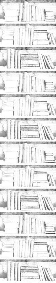 Mineheart Almost White Bookshelf Tapetenmuster Bücher