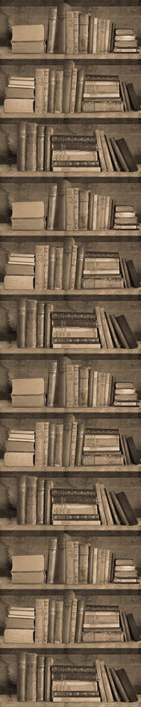 Mineheart Wallpaper Sepia Bookshelf Tapete Bücherregal sepia