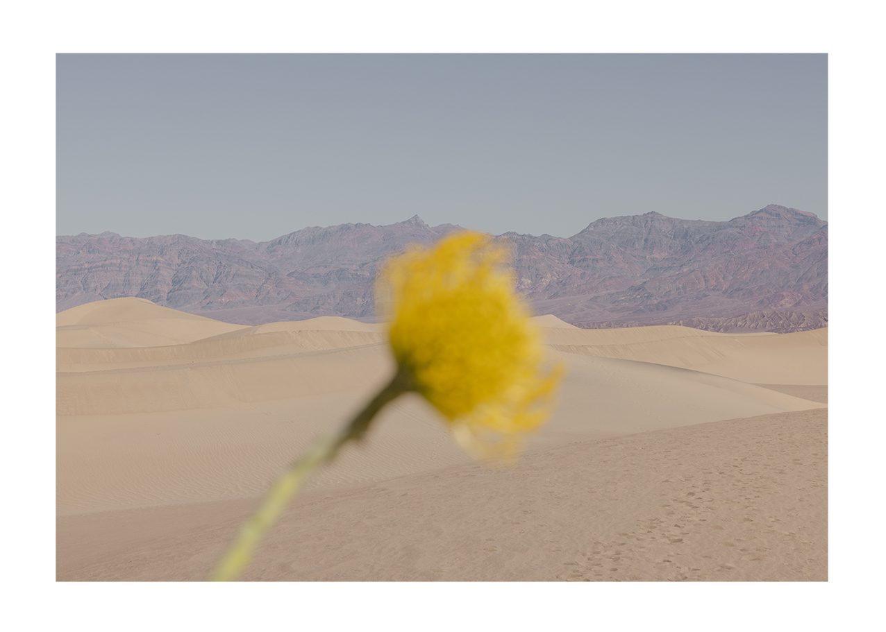 The Poster Club Art Prints Desert Mirage Poster 30x40 beige-blau