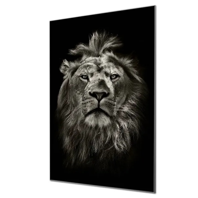 Banjado Magnettafel Löwe Porträt Glas Magnettafel 60x40 beschreibbar