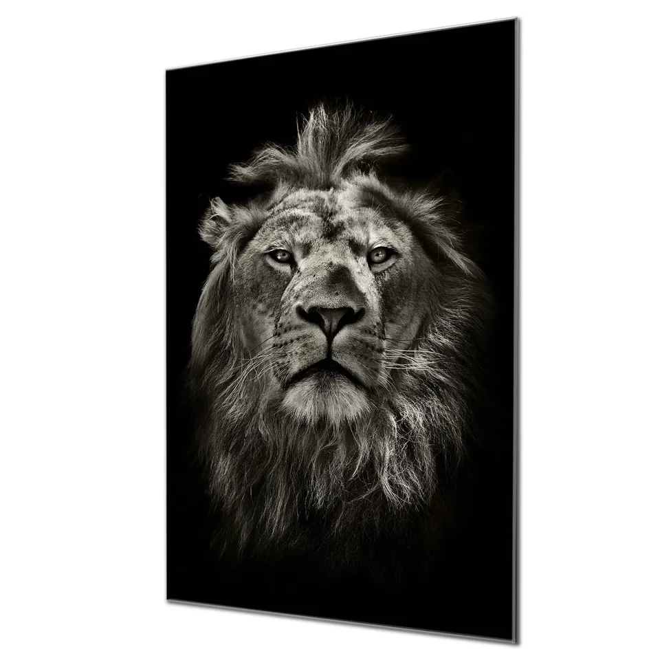 Banjado Magnettafel Löwe Porträt Glas Magnettafel 60x40 beschreibbar