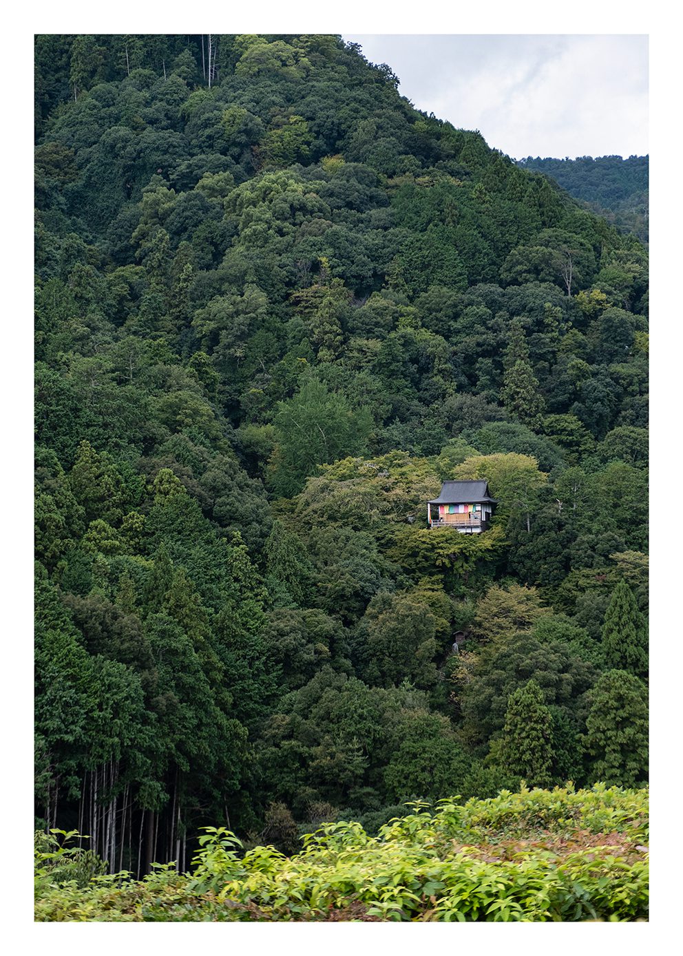 The Poster Club Kyoto Poster 30x40 cm Grün Foto
