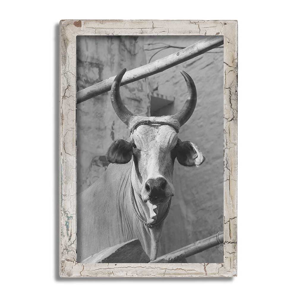 LS-LebenStil Vintage Bilderrahmen 20x30cm Weiß Fundholz