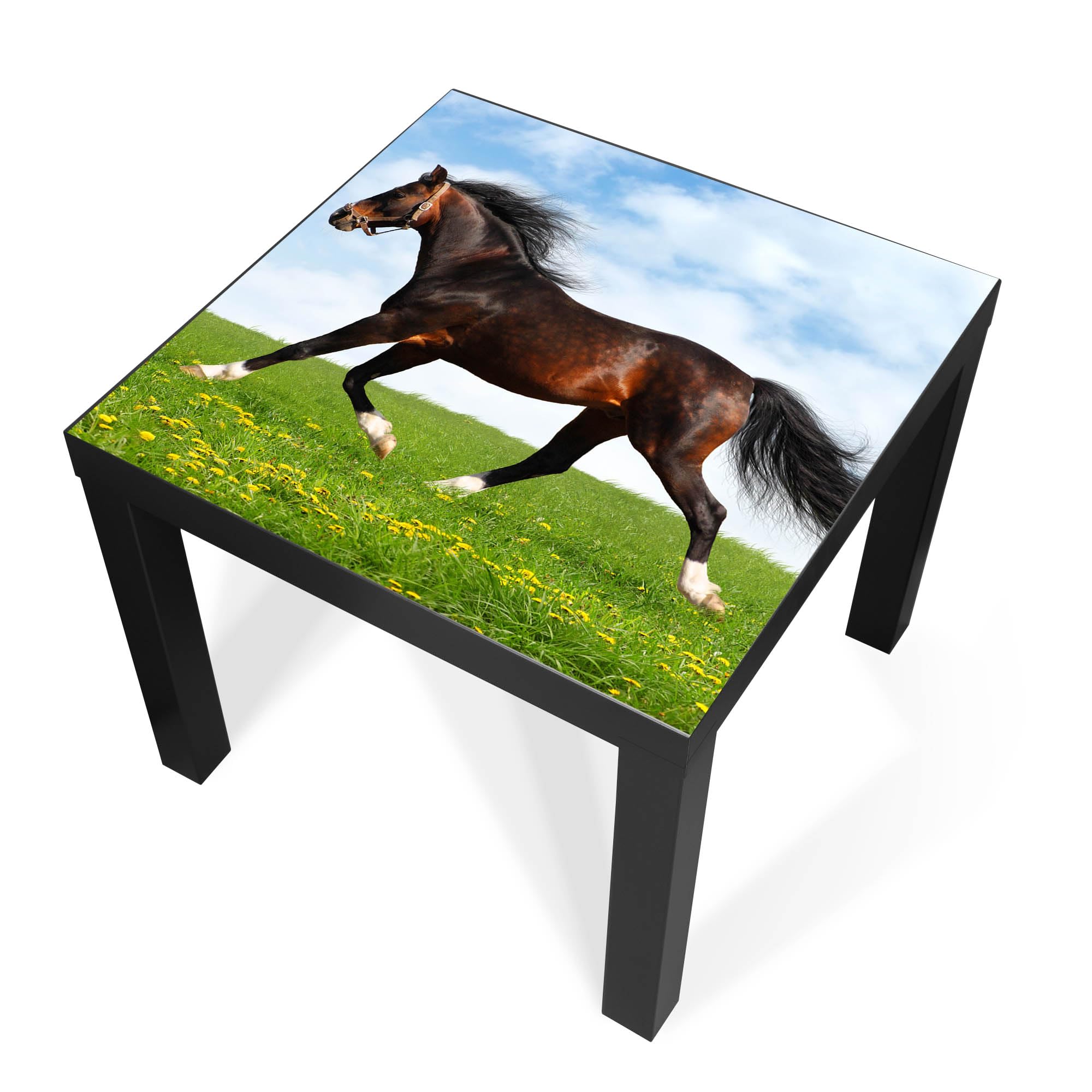 Banjado Möbelfolie Pferd Tischfolie 55x55 für IKEA LACK selbstklebend