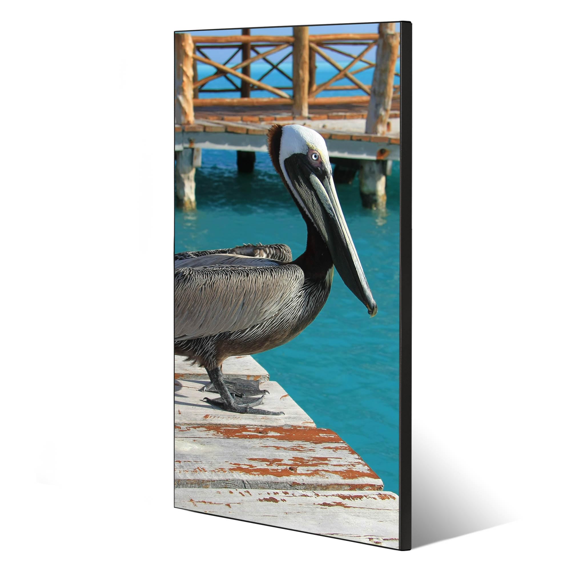Banjado Magnettafel 37x78cm Magnetpinnwand Pelikan Metall