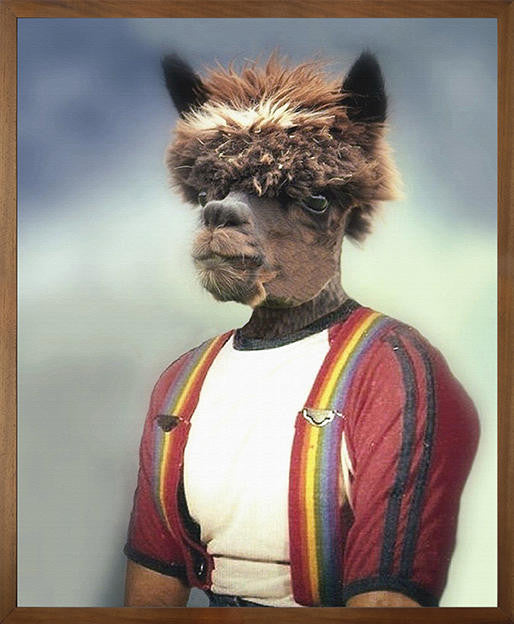 Mineheart Anthony Alpaca Leinwandbild 40x50cm Rahmen