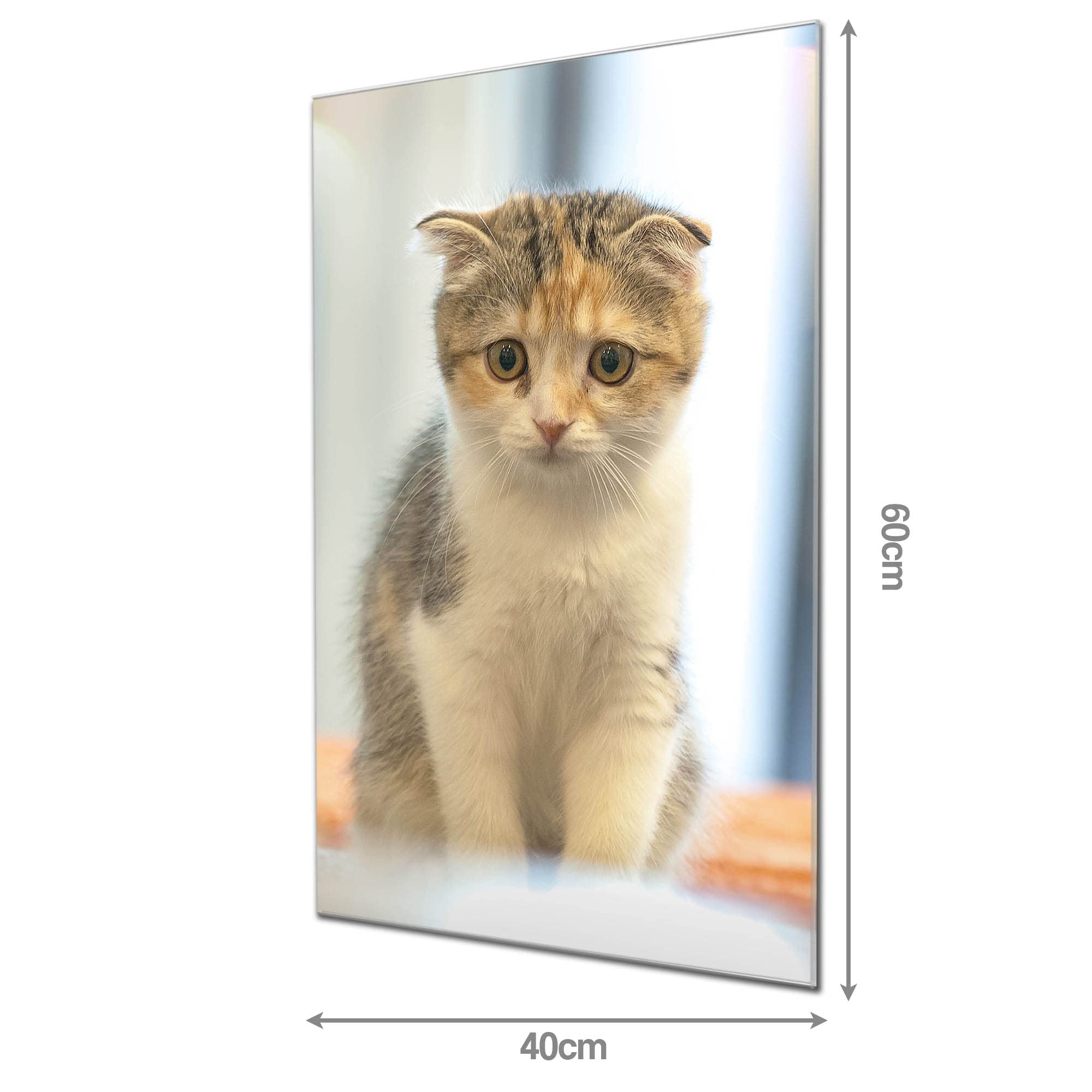 Banjado Magnettafel Kleine Katze Magnettafel 60x40 cm Glas
