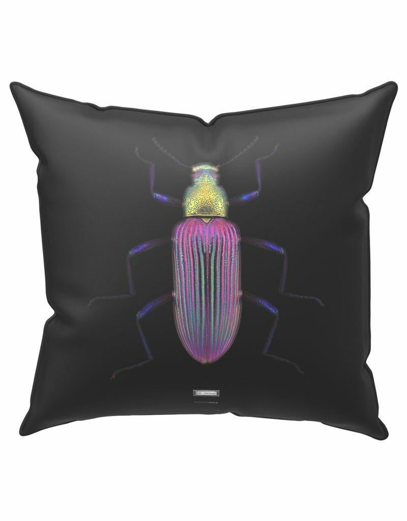 Mineheart Lady Cupripenne Kissen 45x45 cm Kaefer