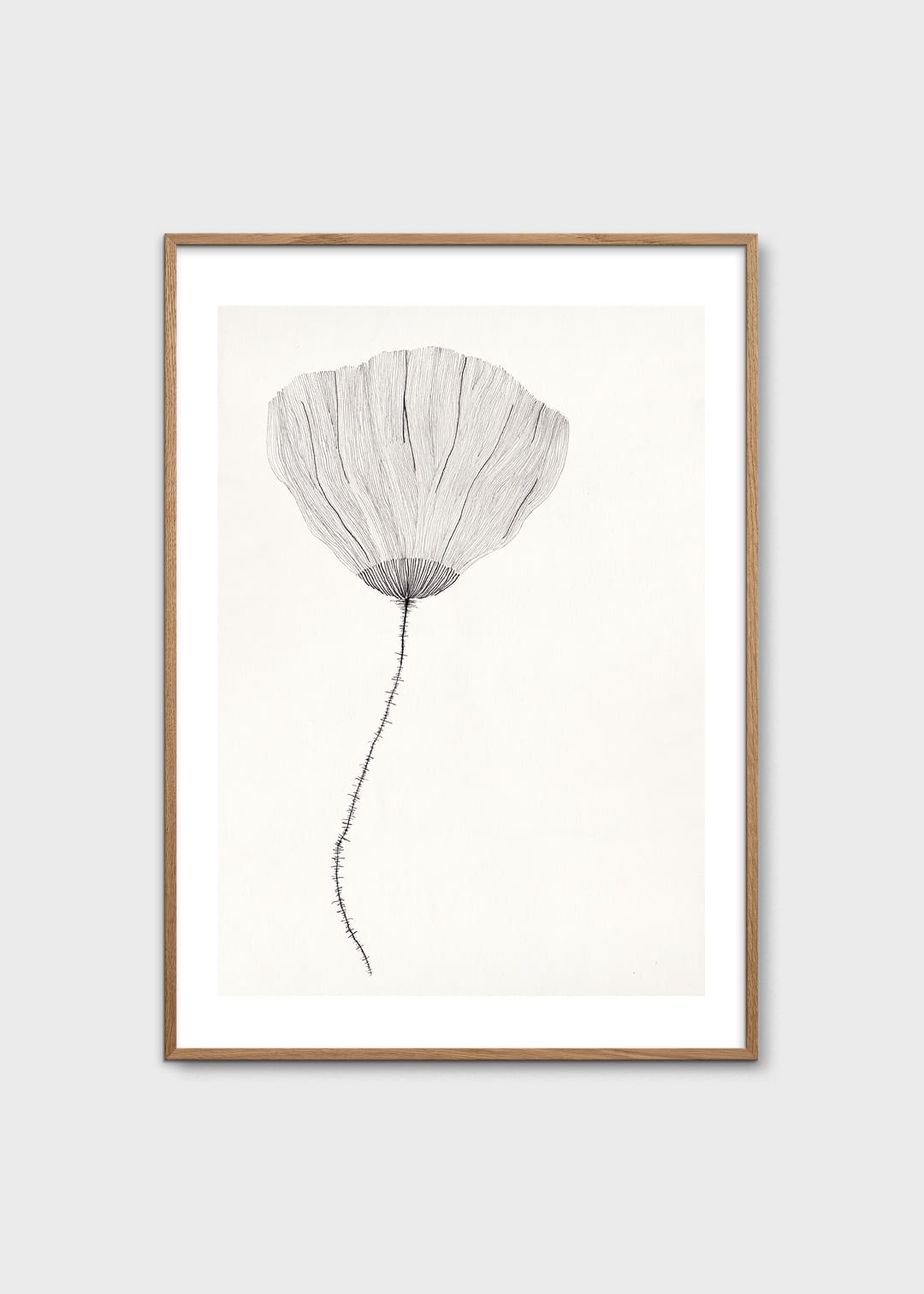The Poster Club Poppy Poster 30x40 cm Botanik