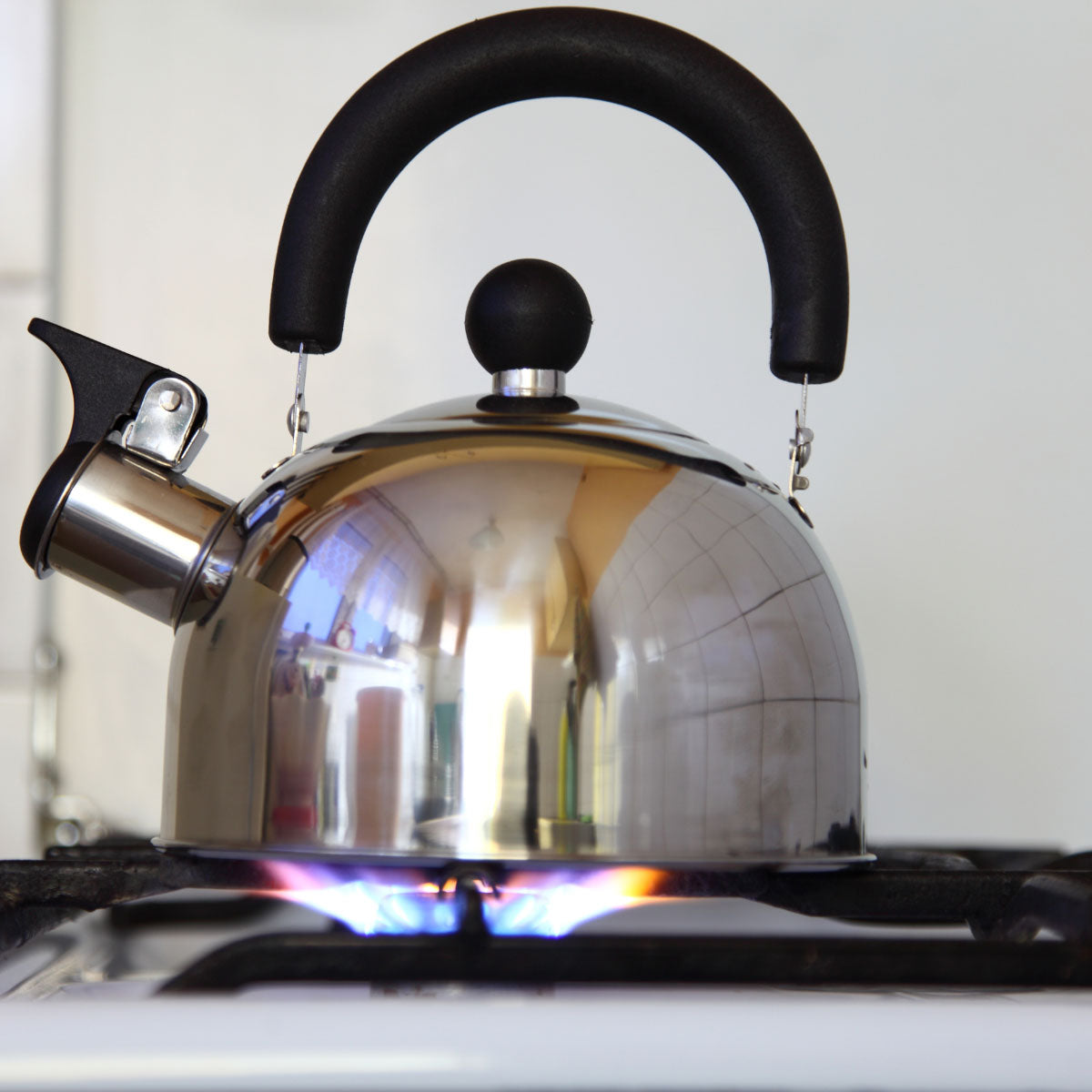 LS-LebenStil Küche & Haushalt Flötenkessel 2,5L Edelstahl Induktion