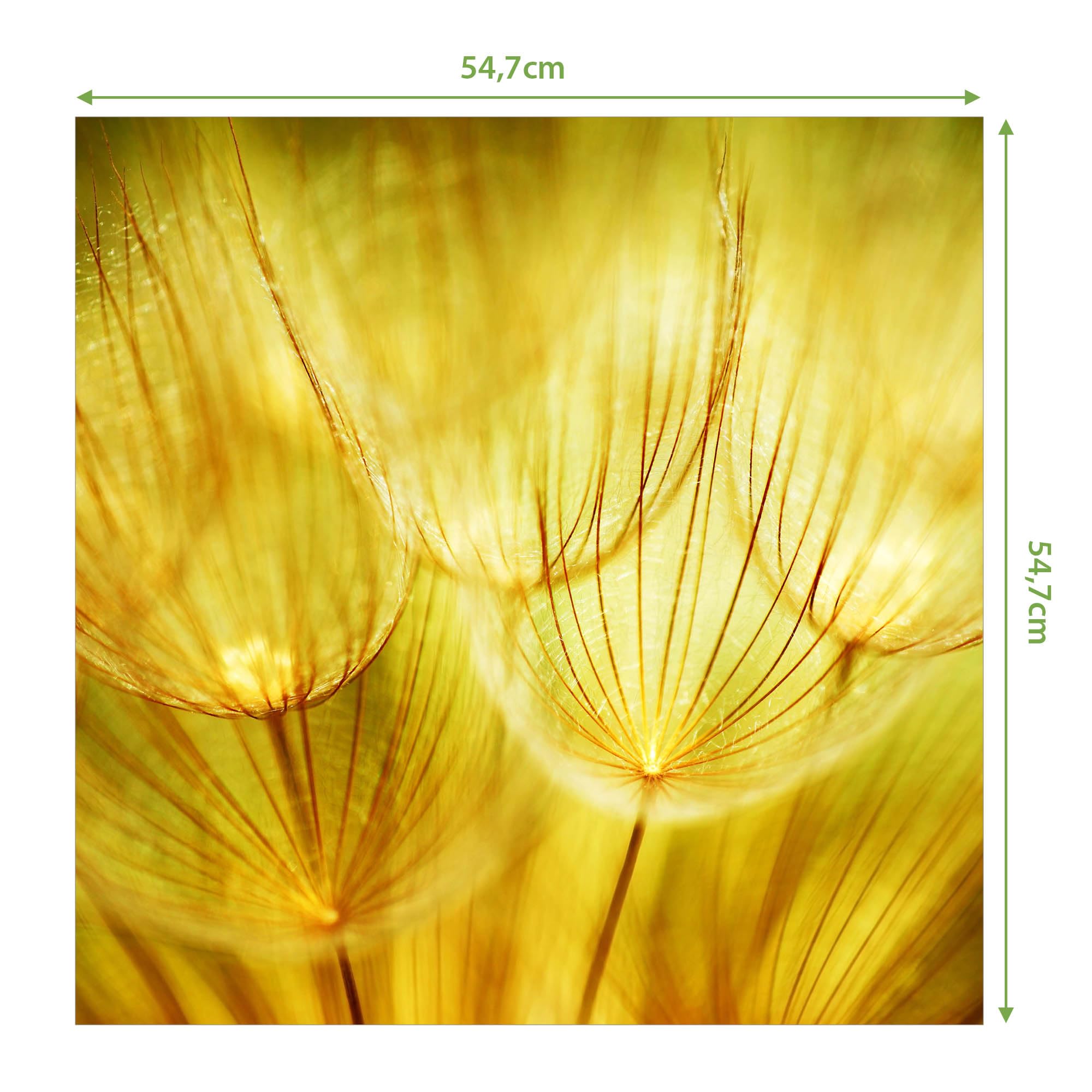 Banjado Möbelfolie Pusteblumen Gold Tischfolie 55x55