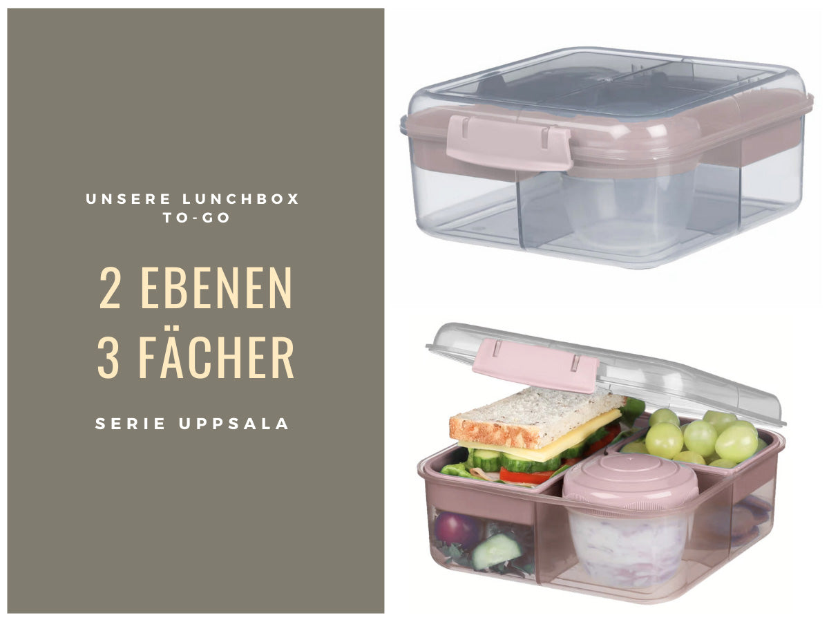 LS-LebenStil Küche & Haushalt Bento Box Rosa 3 Fächer 2 Ebenen