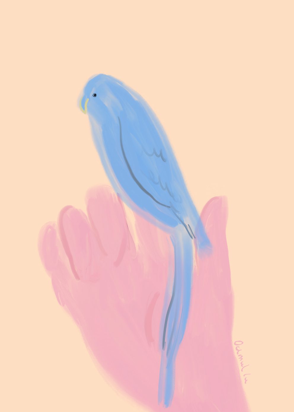 The Poster Club Art Prints Parrot in Hand Poster 30x40 Papagei