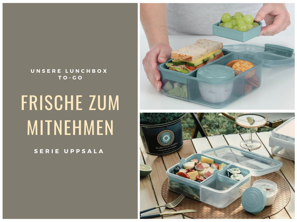 LS-LebenStil Küche & Haushalt Bento Box Blau 3 Fächer 2 Ebenen