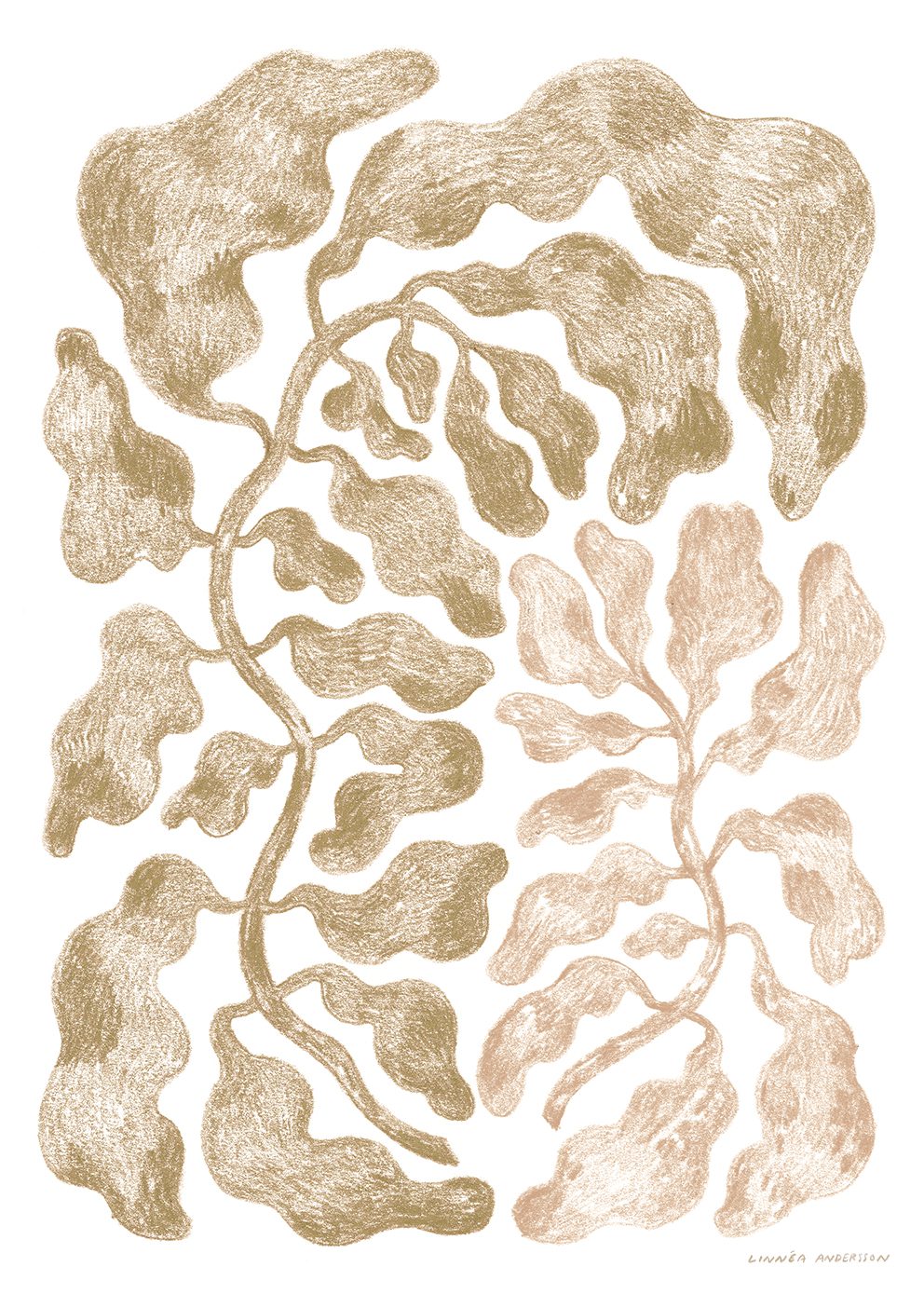 The Poster Club The Two Poster 30x40 cm beige Botanik