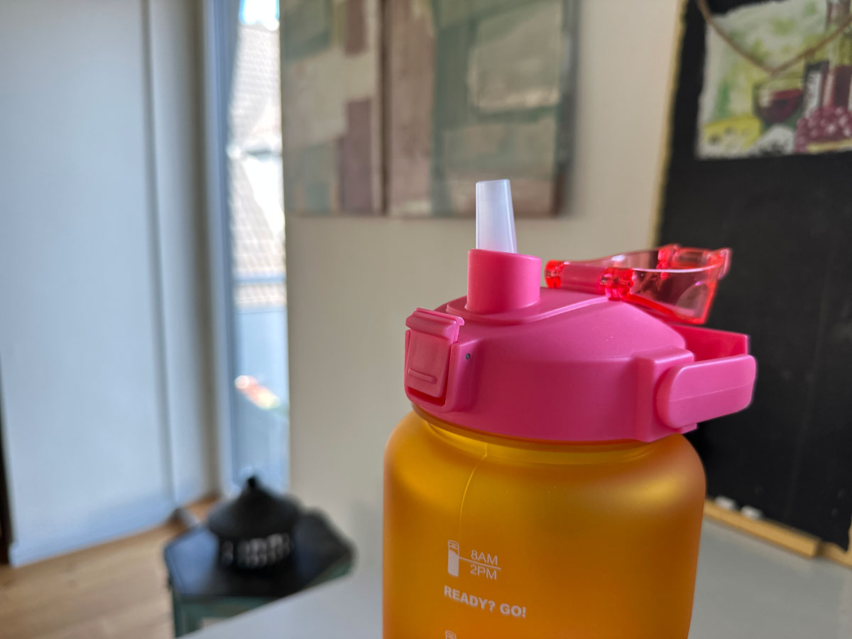 LS-LebenStil Küche Trinkflasche 2000ml Pink Sportflasche auslaufsicher