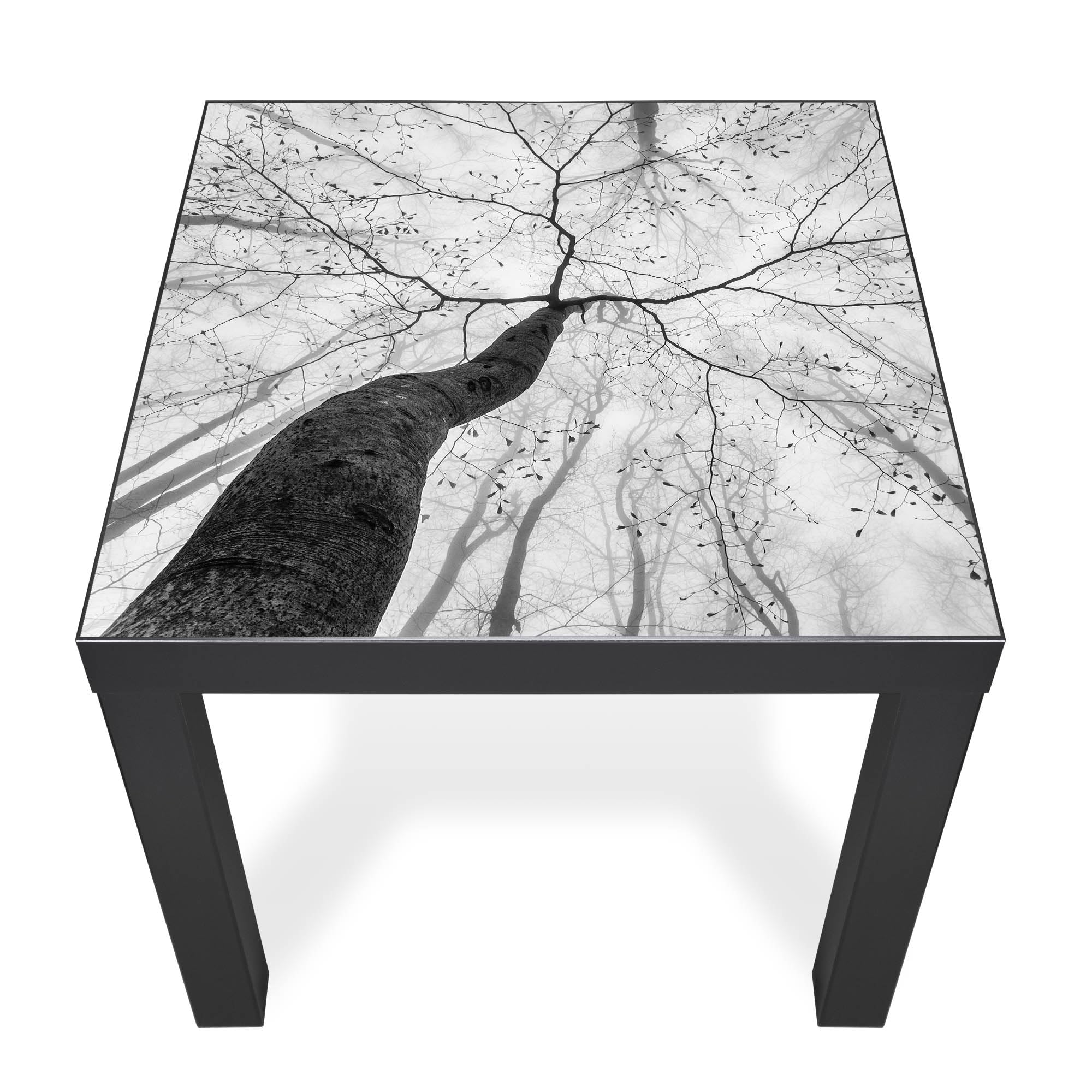 Banjado Möbelfolie Tischfolie Zwischen Bäumen 6 55x55 selbstklebend