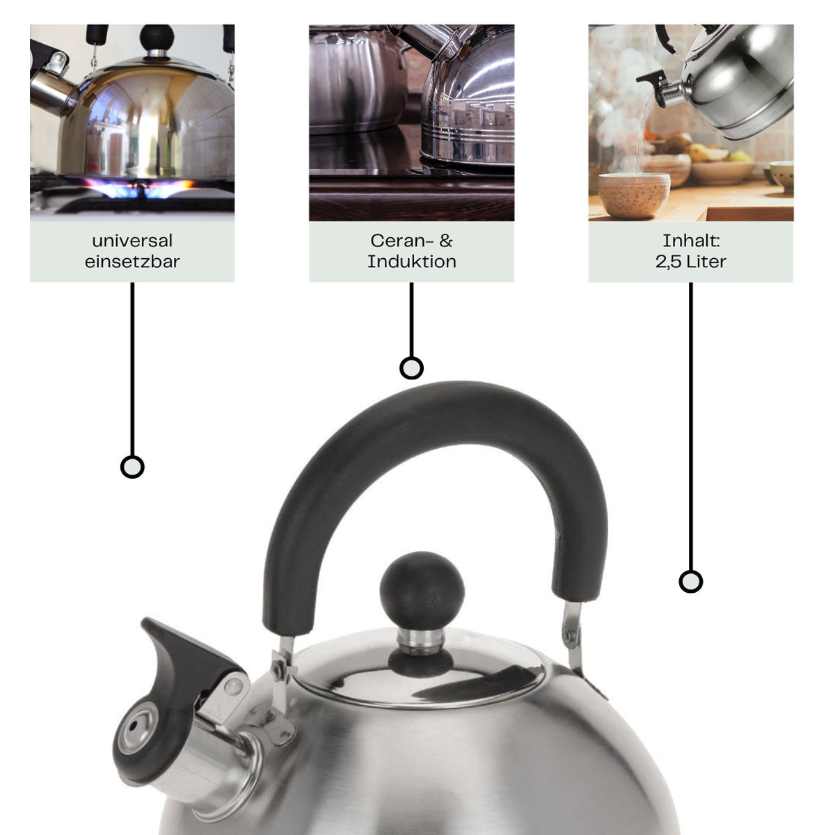 LS-LebenStil Küche & Haushalt Flötenkessel 2,5L Edelstahl Induktion