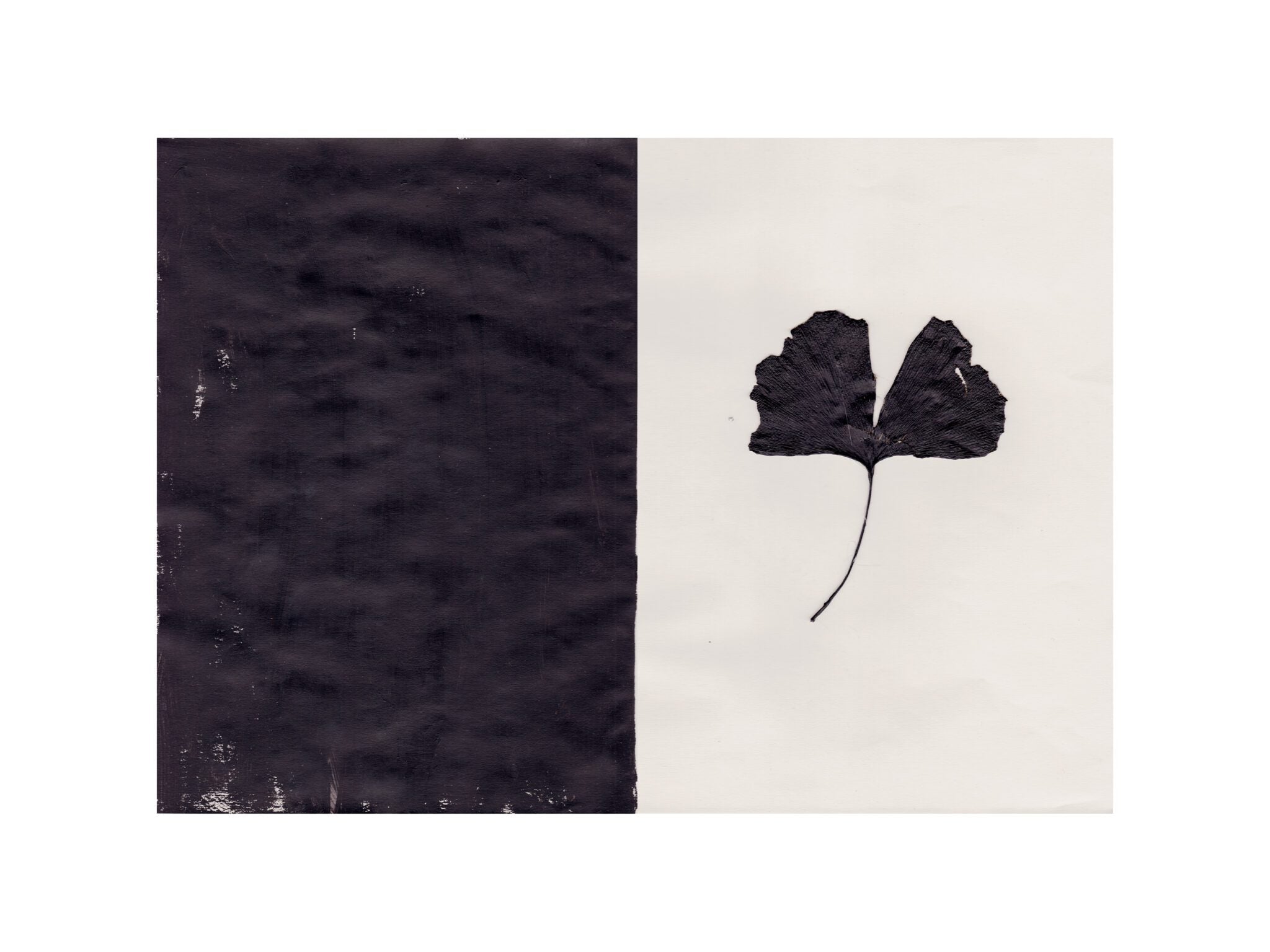 The Poster Club Art Prints Black Ginkgo Poster 30x40 schwarz