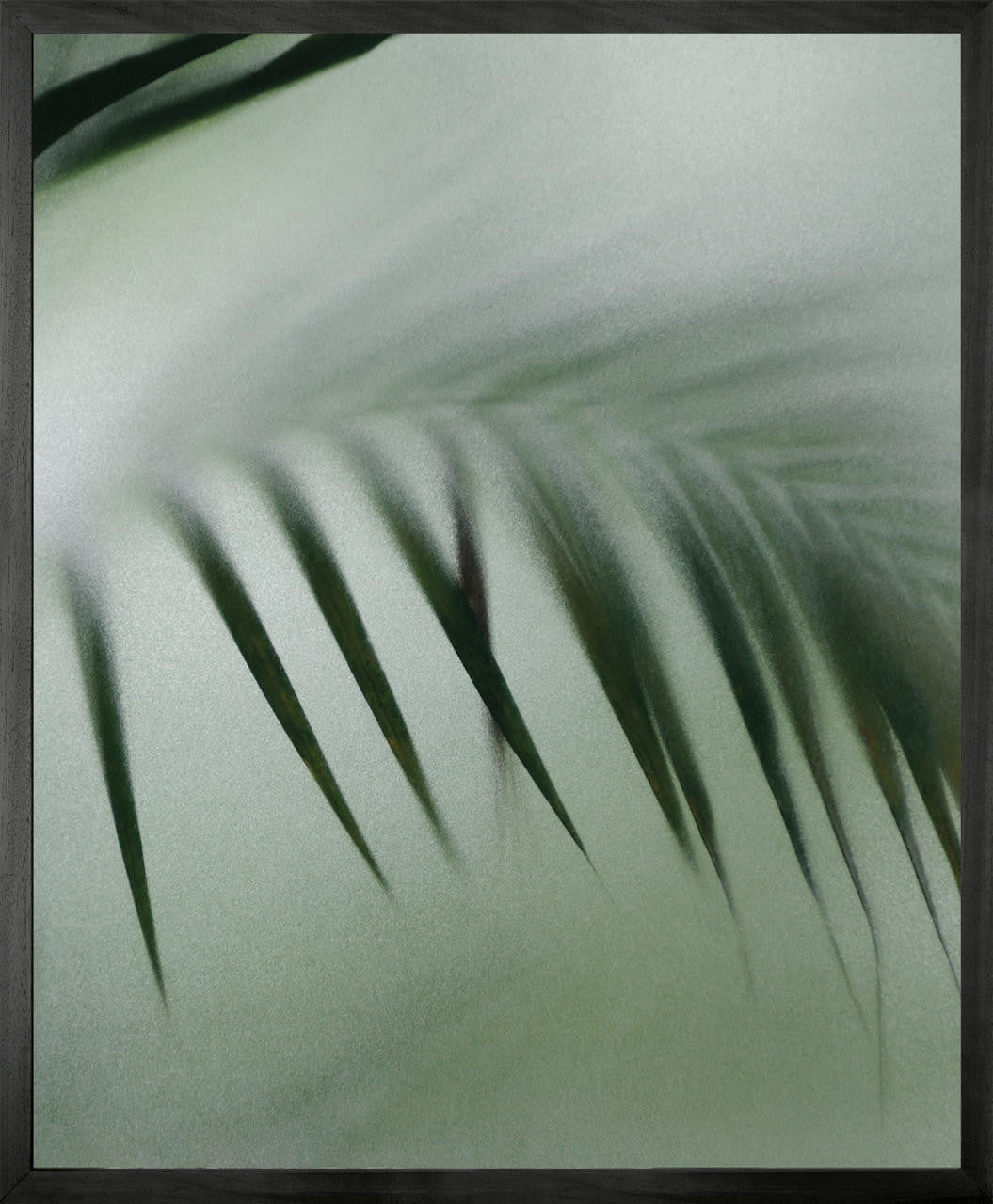 Mineheart Palm Etch 8 Leinwand Blätter 40x50 cm