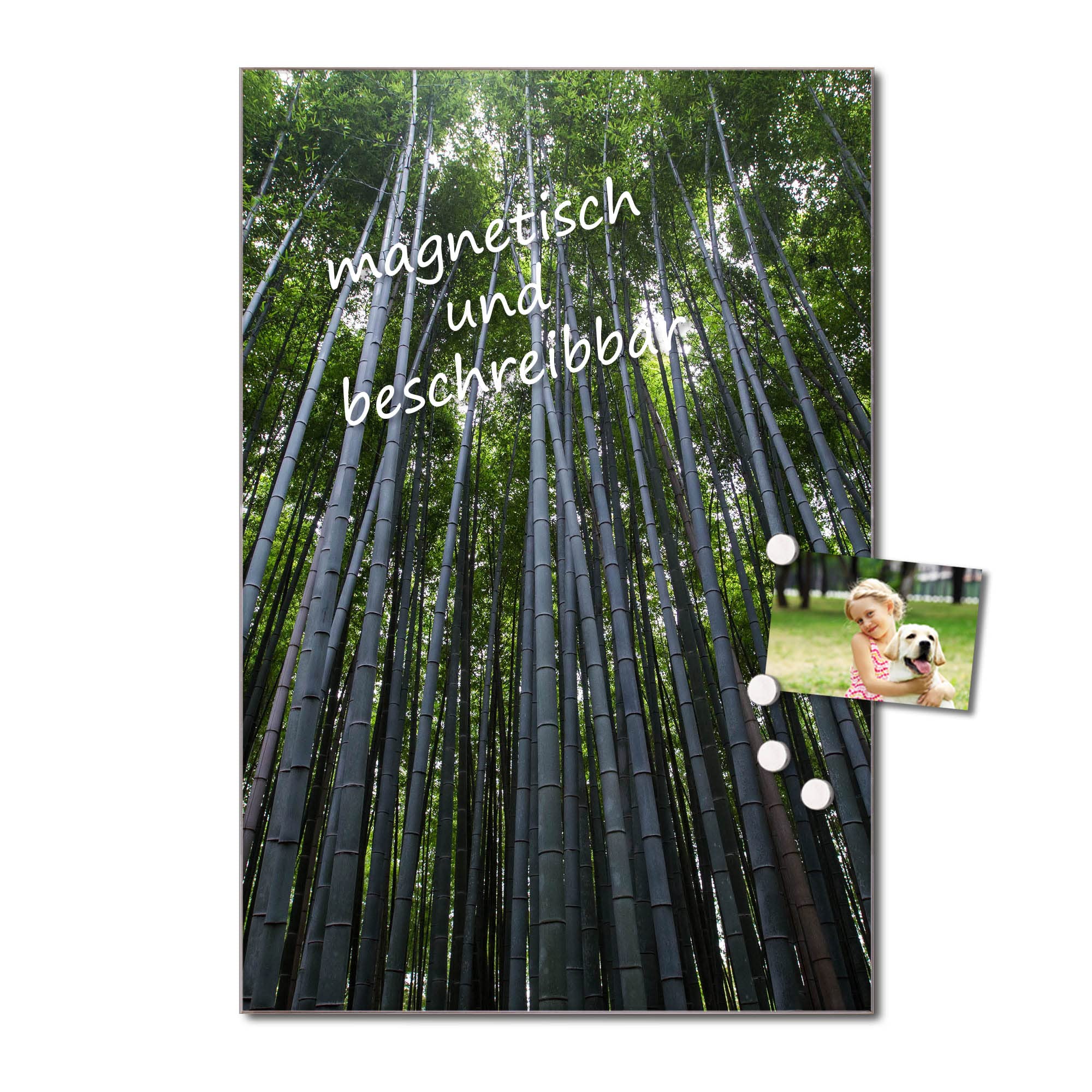 Banjado Glas Magnetwand Bambuswald 40x60cm beschreibbar