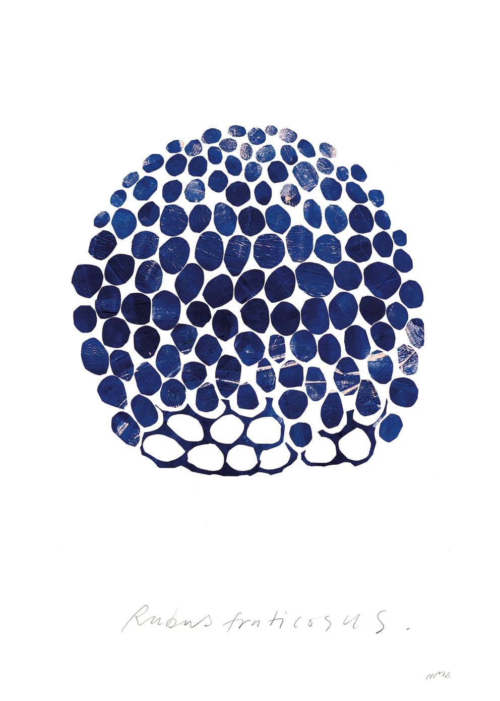 The Poster Club Rubus Poster 30x40 botanisch blau-weiß