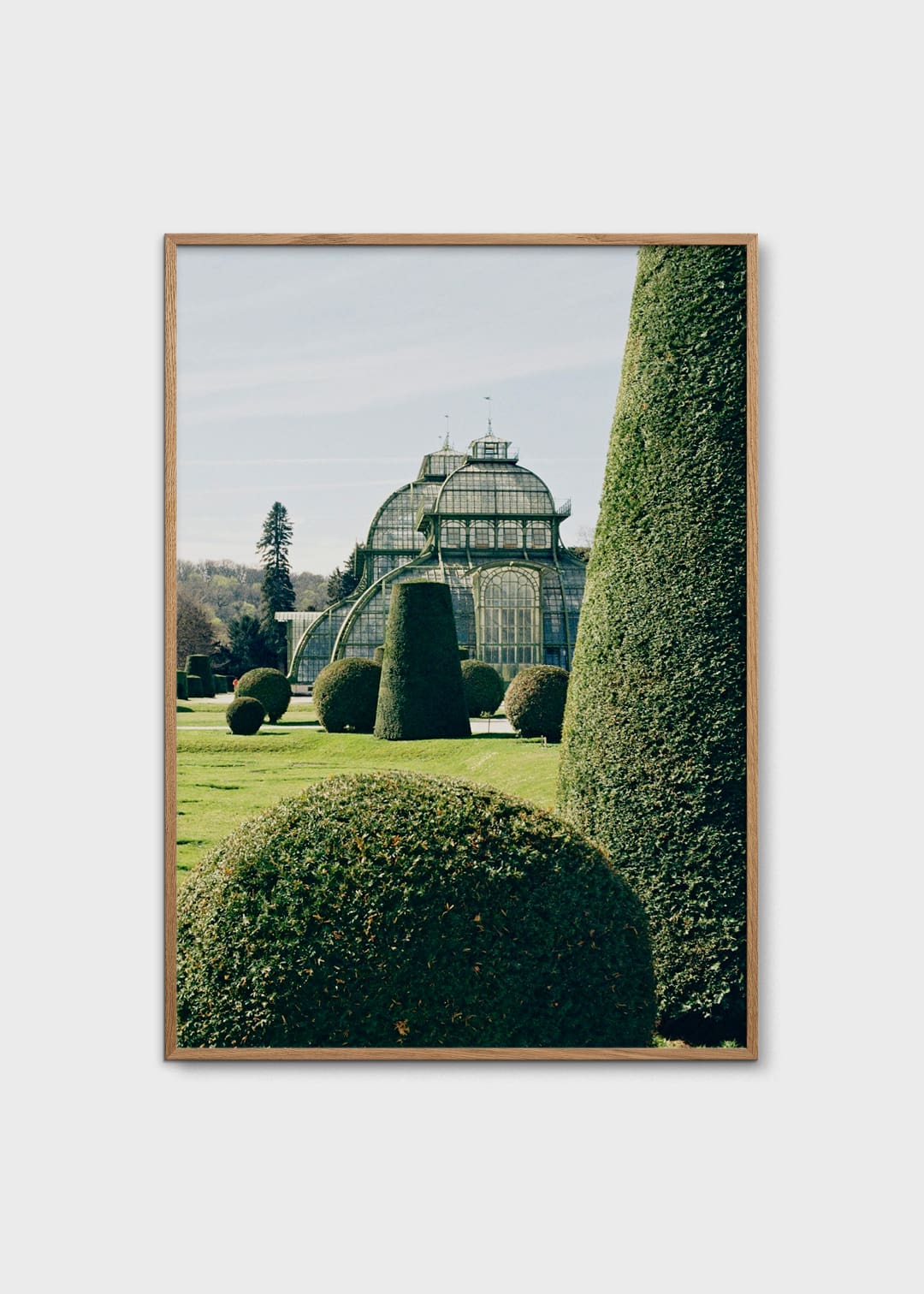 The Poster Club Topiary Poster 30x40 cm grün botanisch