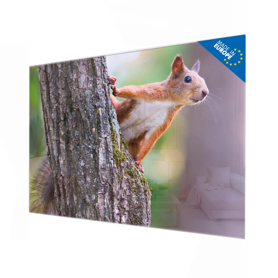 Banjado Magnettafel Glasboard Eichhörnchen 120x80 beschreibbar