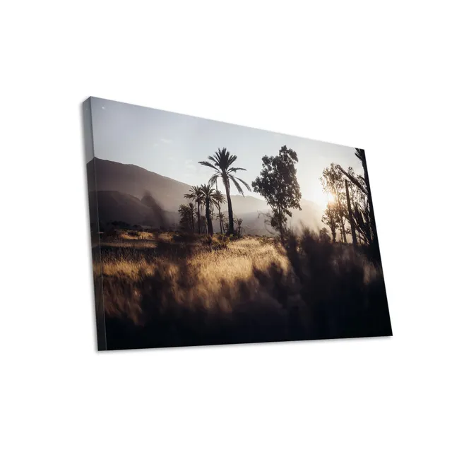 Hustling Sharks Wandbilder Palmenlandschaft Leinwand 40x30 Sonne