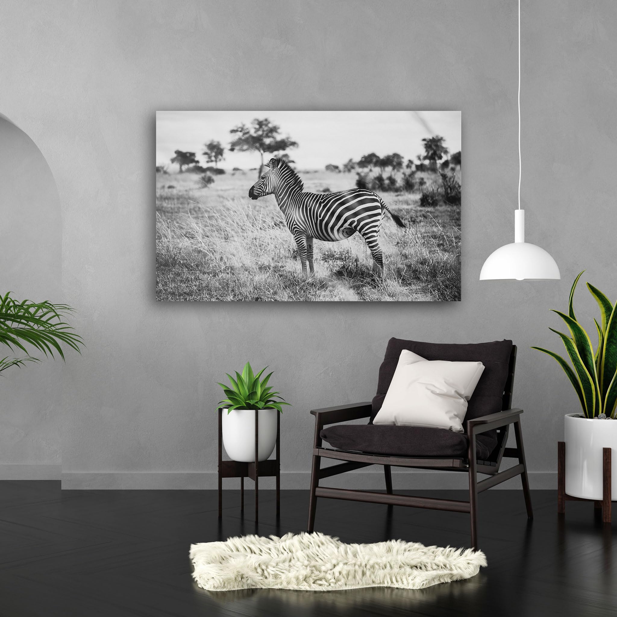 Hustling Sharks Wandbilder Zebra in stiller Weite Leinwandbild 30x40 cm Tier