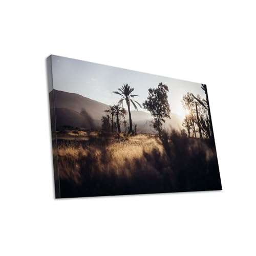 Hustling Sharks Wandbilder Palmenlandschaft Leinwand 40x30 Sonne