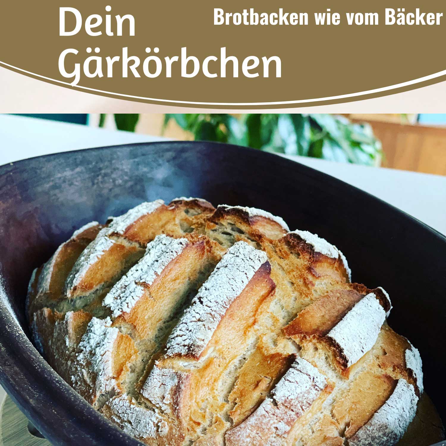LS-LebenStil Küche & Haushalt Gärkörbchen Peddigrohr oval 35cm