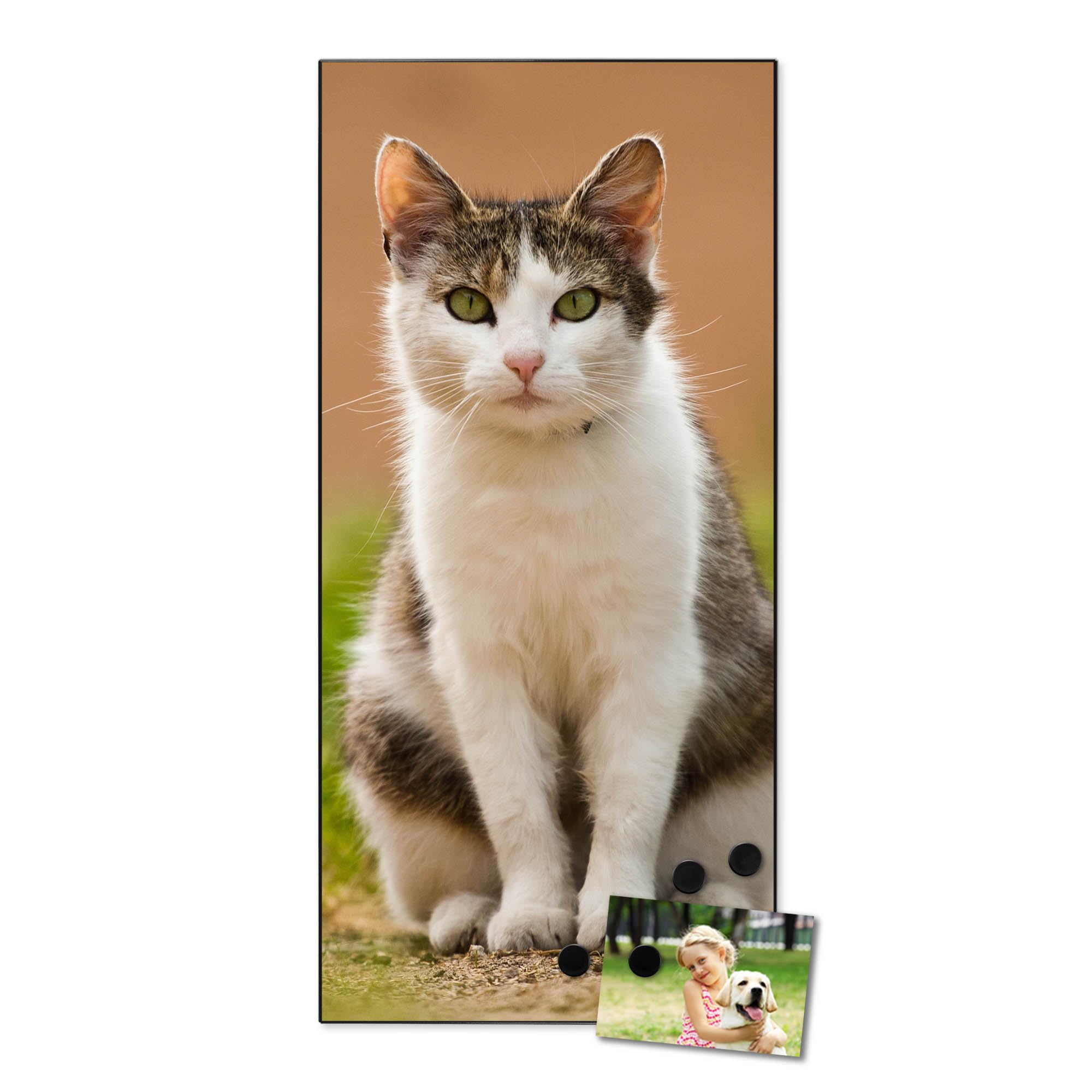 Banjado Magnettafel Suse Magnetpinnwand 37x78cm Katzenmotiv