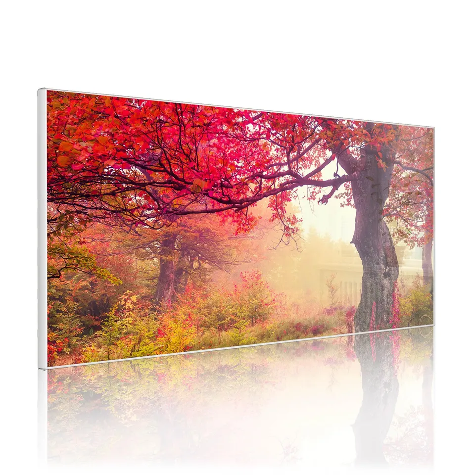 Banjado Magnettafel Lichtung im Herbst Pinnwand 78x37cm weiß