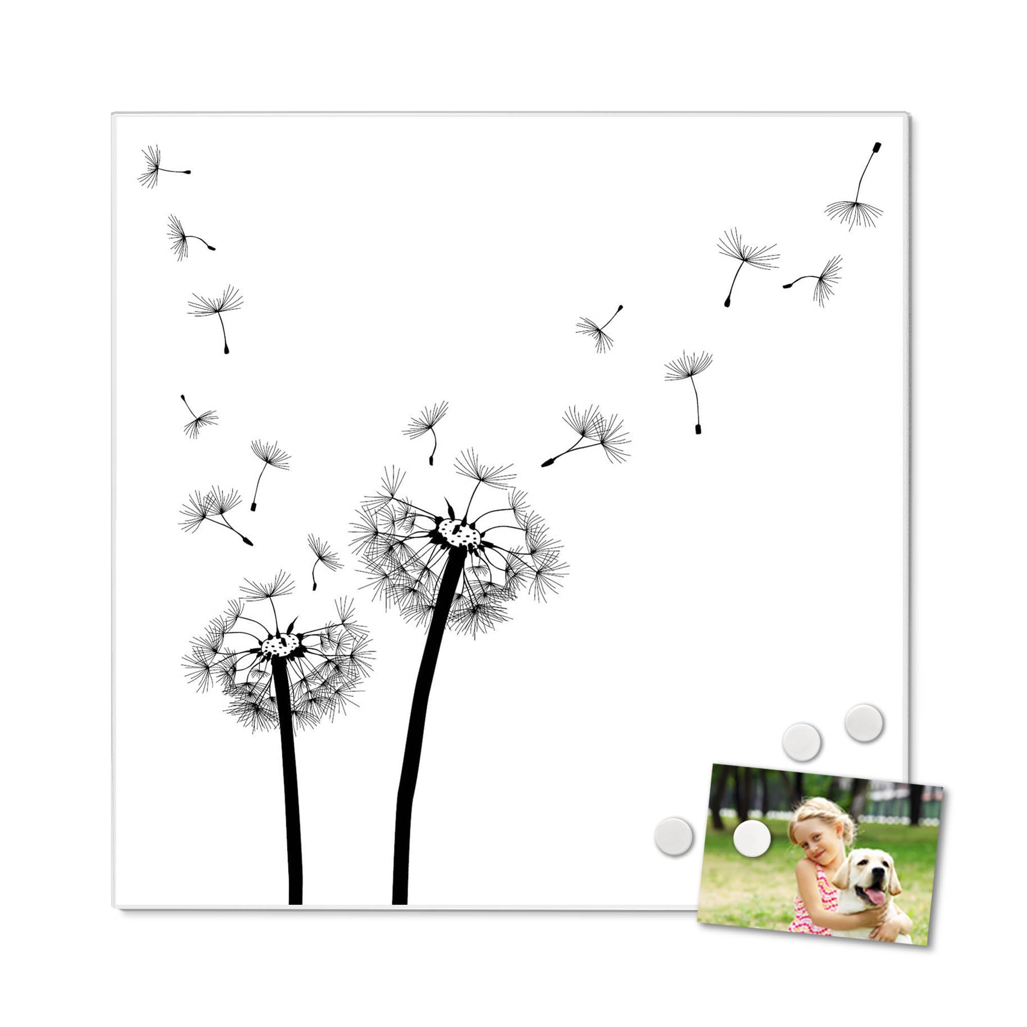 Banjado Magnettafel Pusteblume 2 Magnetwand 50x50cm beschreibbar