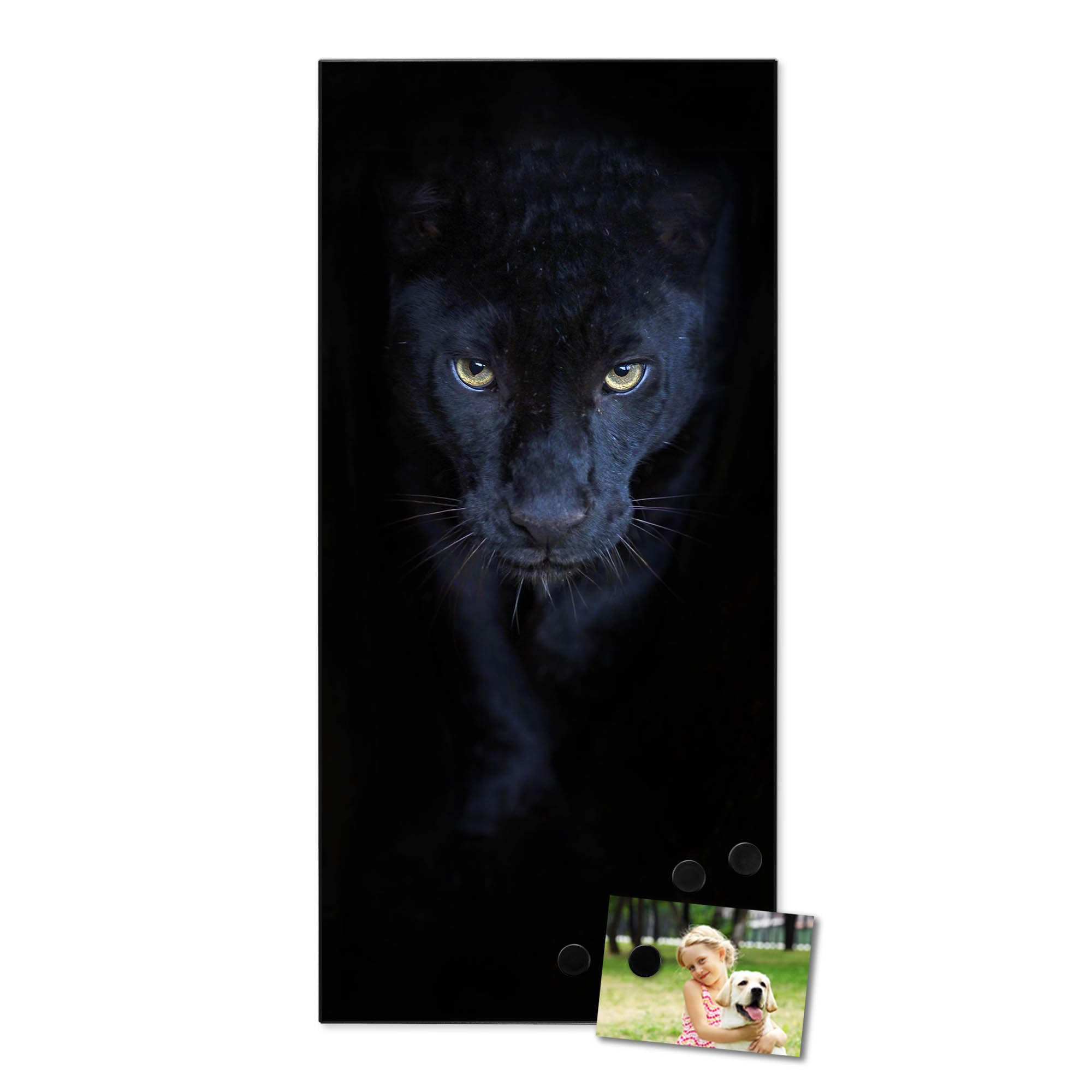 Banjado Magnettafel 37x78 Magnetwand Nora Metall