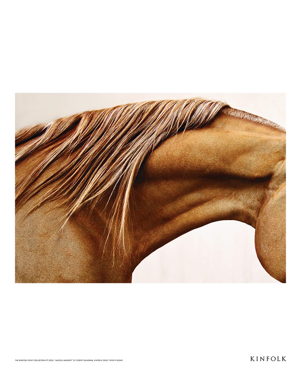 The Poster Club Art Prints Muscle Memory Poster 40x50 cm Pferd