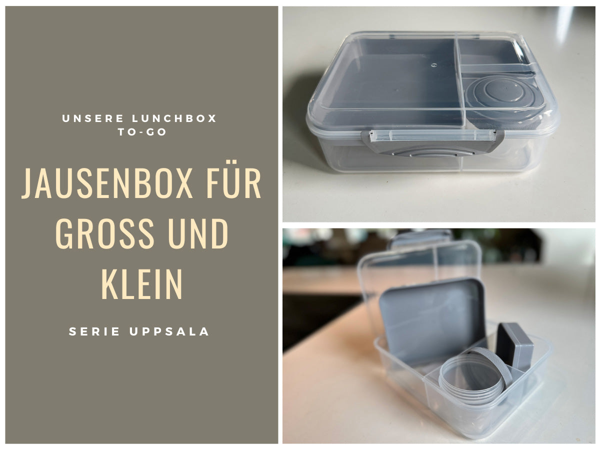 LS-LebenStil Uppsala Bento Box Kunststoff grau 3 Fächer 2 Ebenen