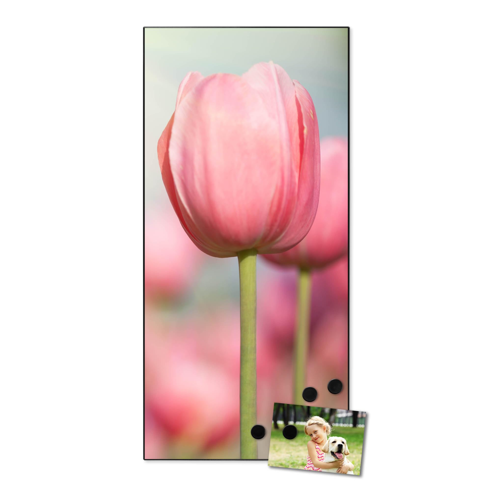 Banjado Magnettafel Tulpen 37x78 Magnetpinnwand schwarz Metall