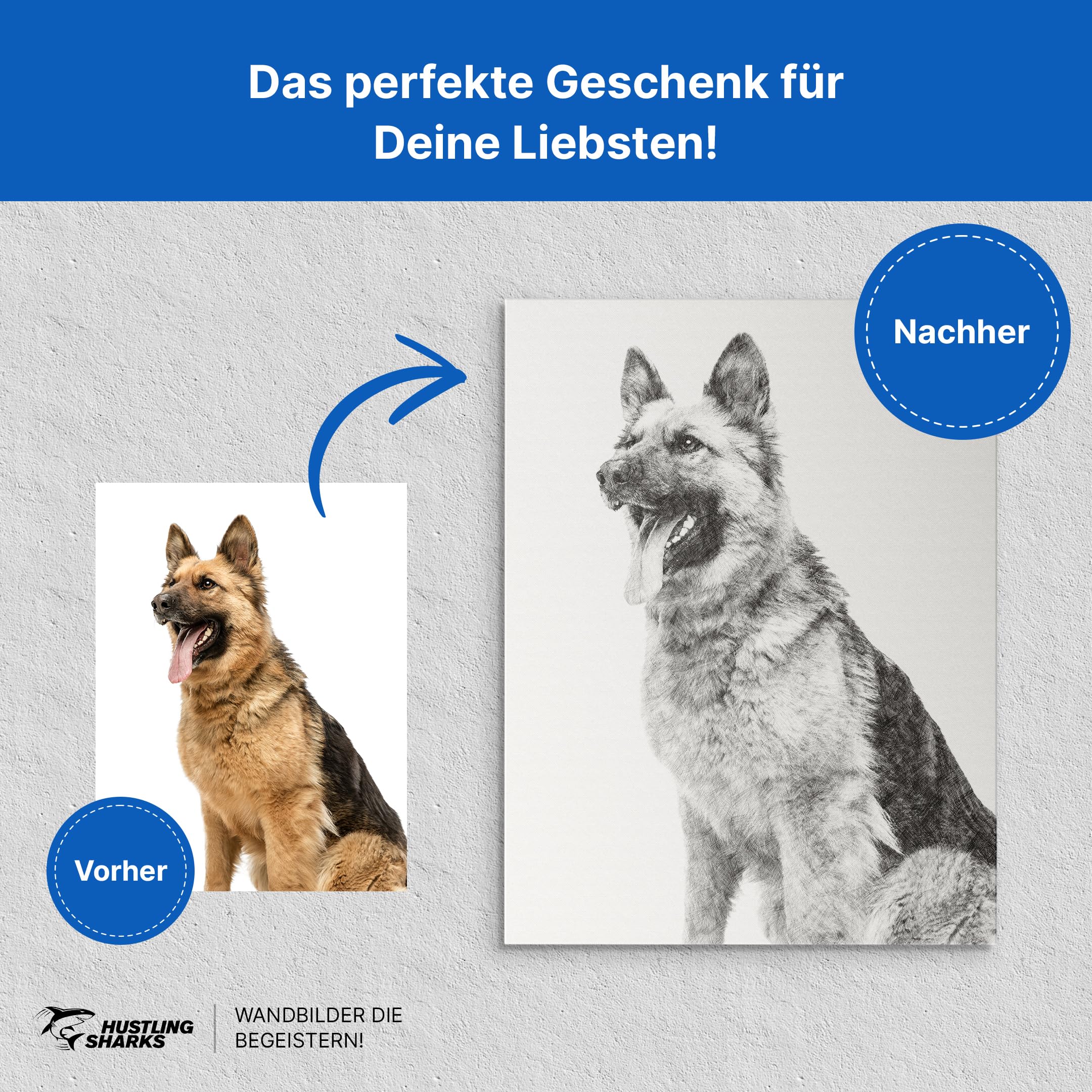Hustling Sharks Wandbilder Portrait Strichzeichnung Leinwand 30x45 cm