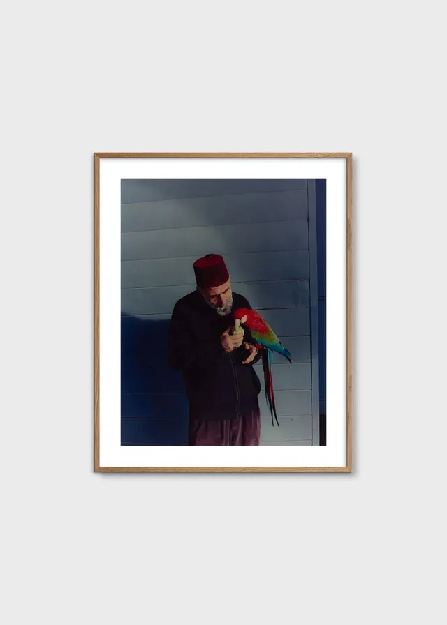 The Poster Club Istanbul Tier Poster 40x50 cm Bunt