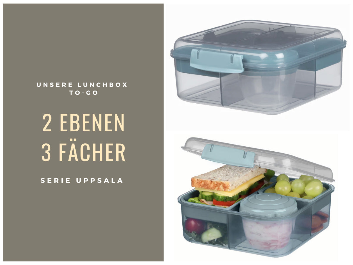 LS-LebenStil Küche & Haushalt Bento Box Blau 3 Fächer 2 Ebenen