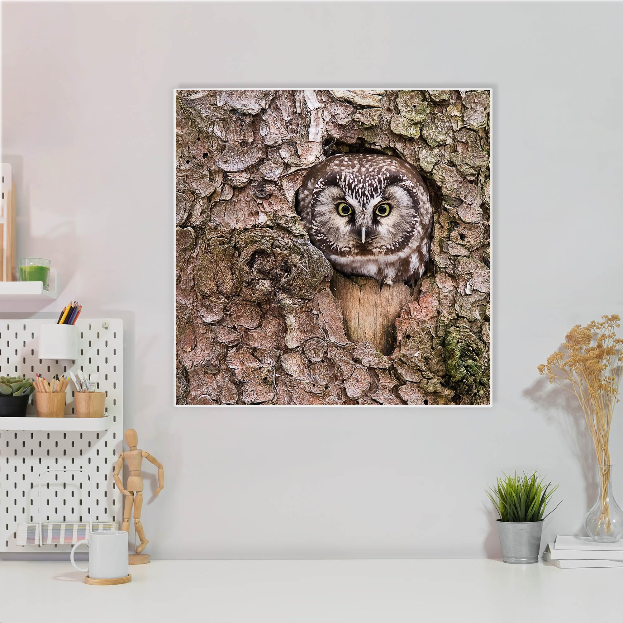 Banjado Magnettafel Eule 50x50 cm Magnetwand Metall