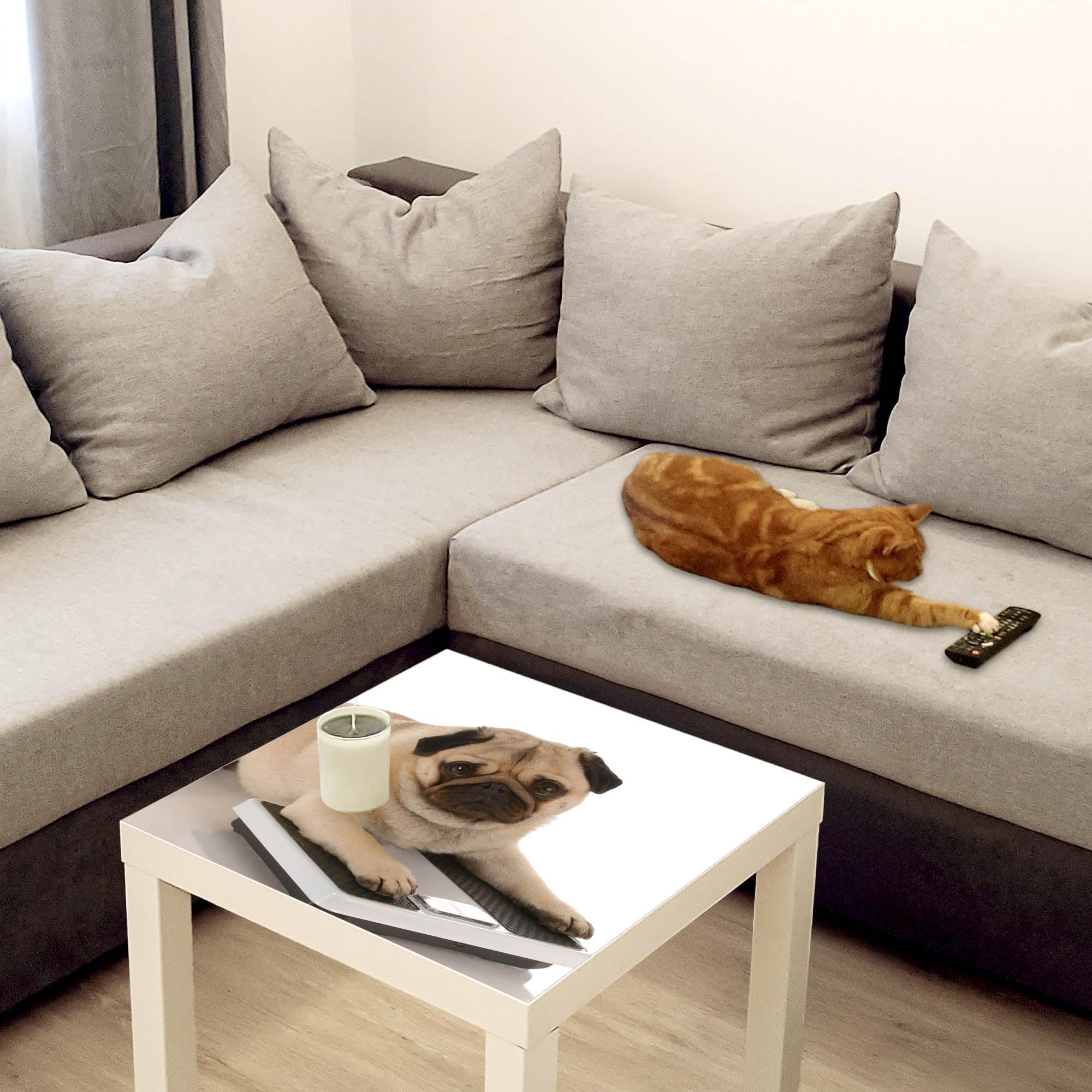 Banjado Möbelfolie Mops Tischfolie 55x55 cm selbstklebend